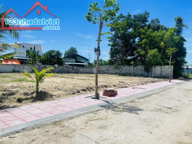 Đất nền Tam Kỳ ngay Đoạn Khu Phố chợ Trường Xuân vào 400m -View Cánh Đồng -Đã Có Sổ - 3