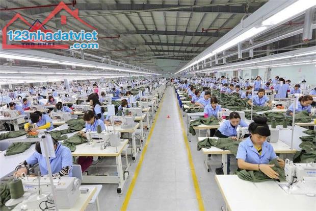 chuyển nhượng NX SX trong KCN Bàu Xéo, tiếp cận nhiều DNNN, nguồn vốn FDI, - 3