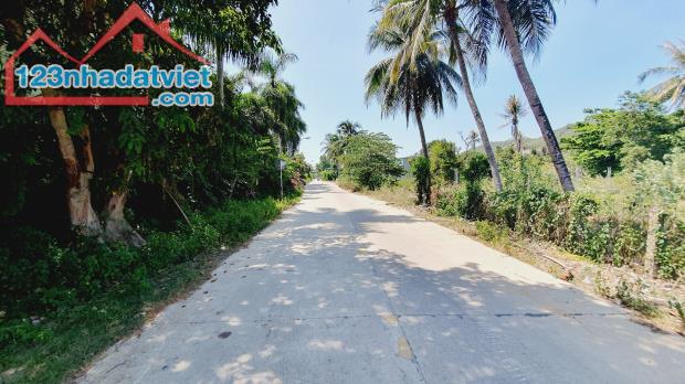 Bán lô đất 1368m2 đất cây lâu năm thôn Xuân Sơn Vĩnh Trung 1368m2 - 1