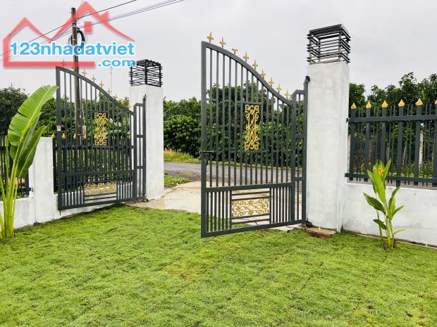 Chính Chủ Bán Gấp Căn Nhà Vườn 3PN Chợ Lộc Đức Mới Ngang 15m Rộng 887m2 - 2