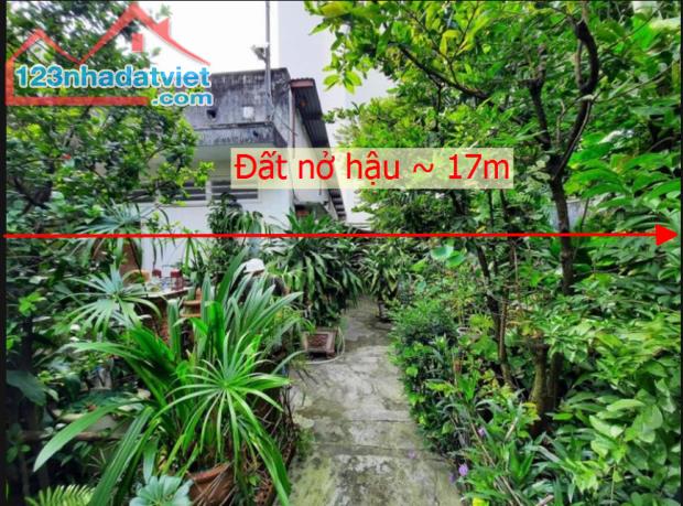 212m2/14 tỷ, 104/8 Nguyễn Thái Sơn, P. 3, Nhà vườn đối diện BV.175