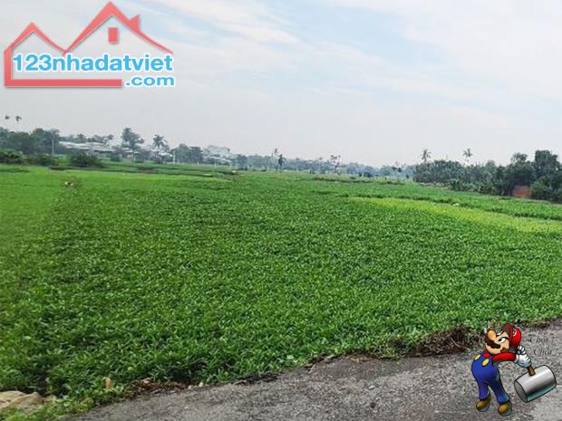 BÁN LÔ ĐẤT ĐẸP HƠN 4300M2, NGANG KHỦNG 40M - ĐƯỜNG 6M THÔNG NGAY THẠNH XUÂN QUẬN 12. - 2