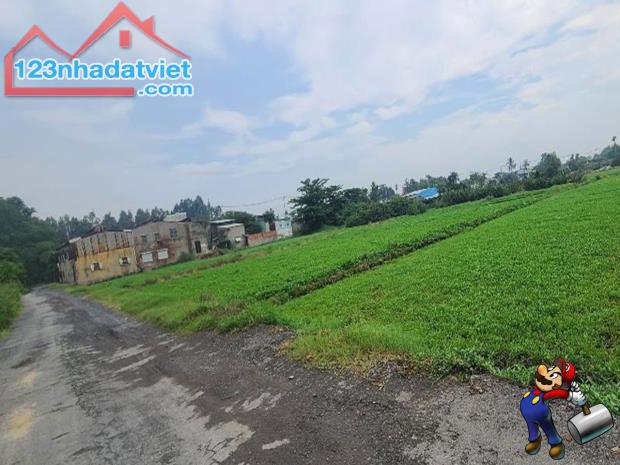 BÁN LÔ ĐẤT ĐẸP HƠN 4300M2, NGANG KHỦNG 40M - ĐƯỜNG 6M THÔNG NGAY THẠNH XUÂN QUẬN 12. - 3