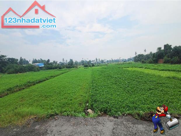 BÁN LÔ ĐẤT ĐẸP HƠN 4300M2, NGANG KHỦNG 40M - ĐƯỜNG 6M THÔNG NGAY THẠNH XUÂN QUẬN 12. - 4