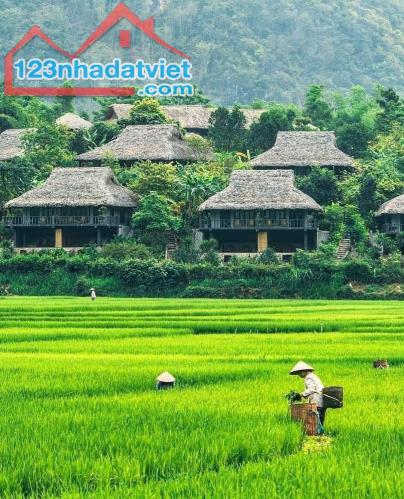 🍒  CHO THUÊ Ô 310M2 TÒA NHÀ VĂN PHÒNG LÔ 22 - LÊ HỒNG PHONG.