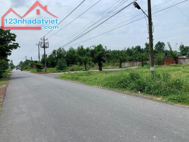 BÁN GẤP 1004M2 SHR ĐƯỜNG 24M SÁT CHỢ VÀ KCN DÂN DÔNG GIÁ 340 TRIỆU