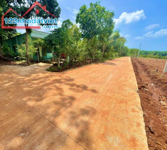 CHÍNH CHỦ BÁN LÔ ĐẤT (30x65=2.000m2)TÁCH 2 SỔ HỒNG RIÊNG,GIÁ 339TRIỆU,SÁT DÂN,GẦN CHỢ - 3