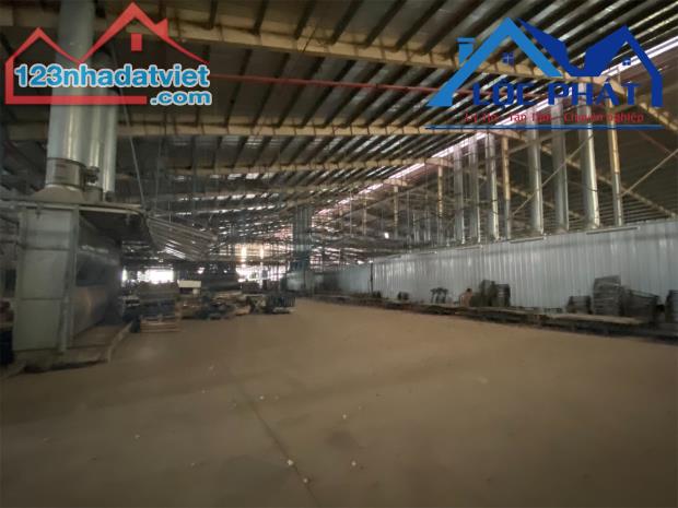 Bán nhà xưởng KCN Tam Phước-Biên Hòa-Đồng Nai: 19.900m2 Giá chỉ 80tỷ - 1