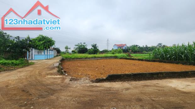 168M2 🏡 ĐẤT NỀN LÔ GÓC - VỊ TRÍ ĐẮC ĐỊA TẠI THÔN 6 XÃ PHÚ CÁT, HUYỆN QUỐC OAI, HÀ NỘI 🏡