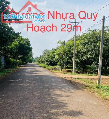 Đất sào phủ hồng, có thổ cư mặt tiền nhựa Đồng Tiến, Đồng Phú. Cách QL 14 1km giá 240tr - 1