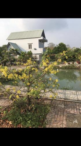 Bán Biệt thự vườn mặt tiền đường nhựa tại xã Thái Mỹ, Củ Chi diện tích 1500 mét vuông - 1