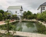 Bán Biệt thự vườn mặt tiền đường nhựa tại xã Thái Mỹ, Củ Chi diện tích 1500 mét vuông