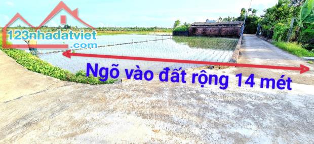 CHÍNH CHỦ CẦN BÁN NHÀ DIỆN TÍCH GẦN 2400M2 CÓ SẴN NHÀ- VƯỜN - AO TẠI VĨNH BẢO - HẢI PHÒNG - 3