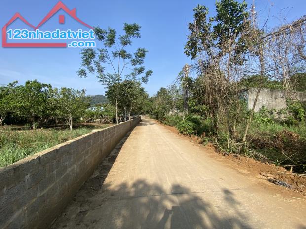 Bán gấp lô đất có diện tích 2400m2 trong đó có 300m2 thổ cư còn lại là đất trồng cây lâu n - 3