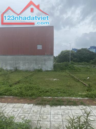 Cho Thuê Đất 50m² tại Khu Dịch Vụ 25.2ha Vân Canh, Hoài Đức – Cơ Hội Đầu Tư Vàng - 4