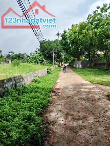 Cần bán đất Lương Sơn, Hòa Bình 463m2, giá 2,8 tỷ - 3