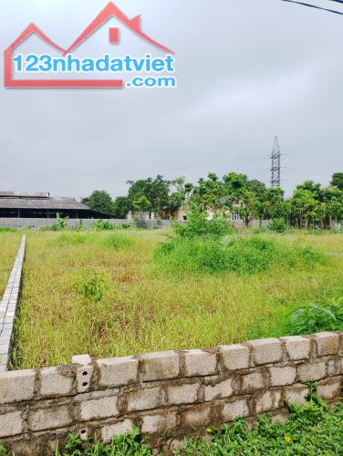 Cần bán đất Lương Sơn, Hòa Bình 463m2, giá 2,8 tỷ - 4