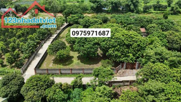 Bán lô đất có diện tích 2712,8m2 trong đó có 400m2 thổ cư còn lại là đất trồng cây lâu năm