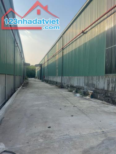 Cho Thuê Kho Xưởng Phú Giáo, Bình Dương - Diện Tích 7.000m², Giá 2 USD/m² - 1