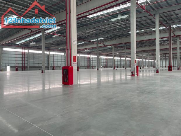 Cho thuê nhà xưởng 5.000m2 Khu CN Yên Phong – Bắc Ninh, bàn giao ngay - 2