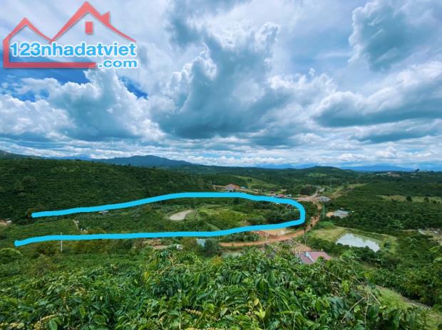 Chính chủ cần bán lô đất 9.120 m2, giá 360.000/m2, vị trí đắc địa ngay huyện Di Linh. MG1% - 1