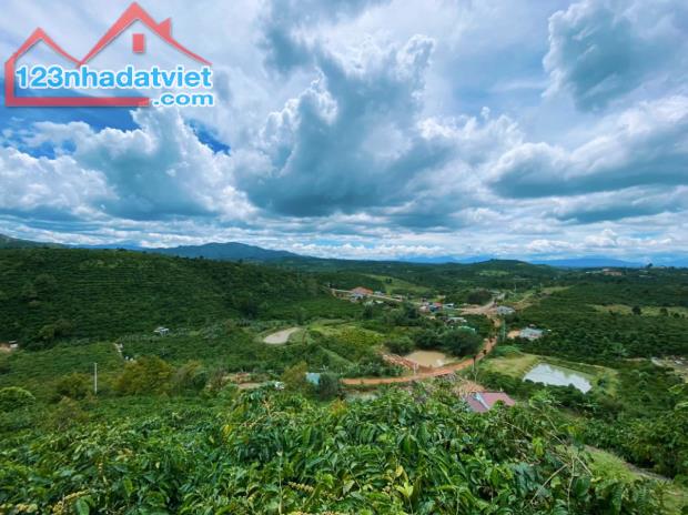 Chính chủ cần bán lô đất 9.120 m2, giá 360.000/m2, vị trí đắc địa ngay huyện Di Linh. MG1% - 2
