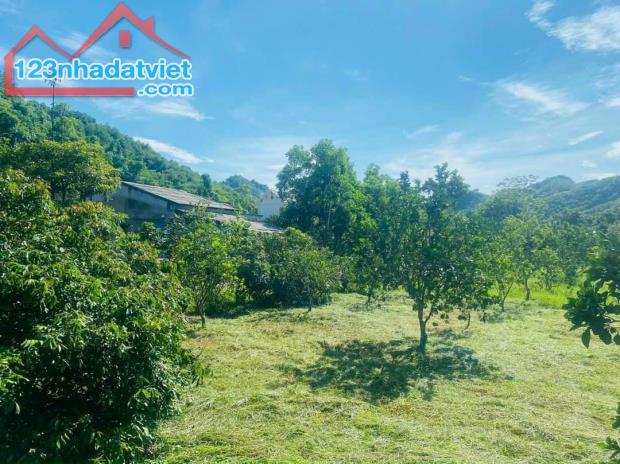 - Diện tích 2,2ha có : 400m thổ cư + 1400m đất vườn còn lại rsx - bám mặt đường nhựa liên