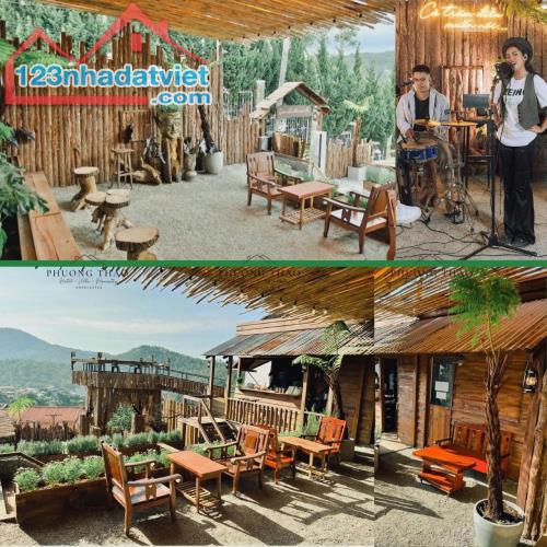 Sang nhượng homestay cà phê tại Hoàng Hoa Thám P10 Đà Lạt - 3