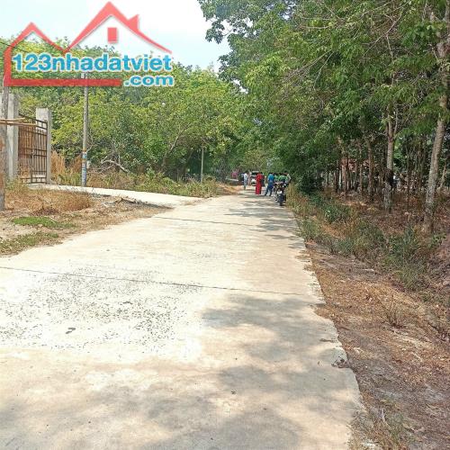 Đất Kp1 Minh Thành hơn 200m2 sẳn 100m2 thổ cư giá 4xx