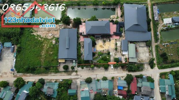 Sang nhượng dự án nông nghiệp an toàn VietGap tại Kim Phú, TP Tuyên Quang (sát Khu đô thị