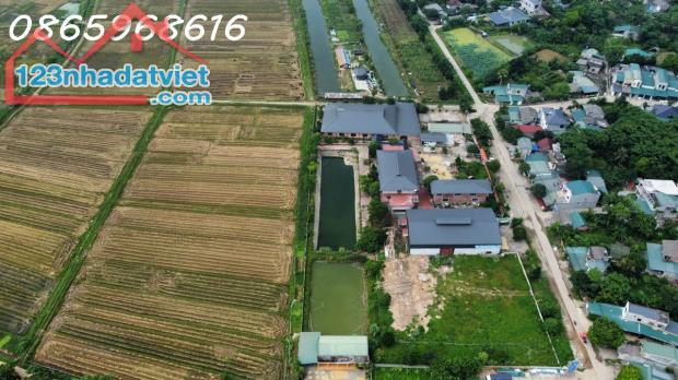 Sang nhượng dự án nông nghiệp an toàn VietGap tại Kim Phú, TP Tuyên Quang (sát Khu đô thị - 1