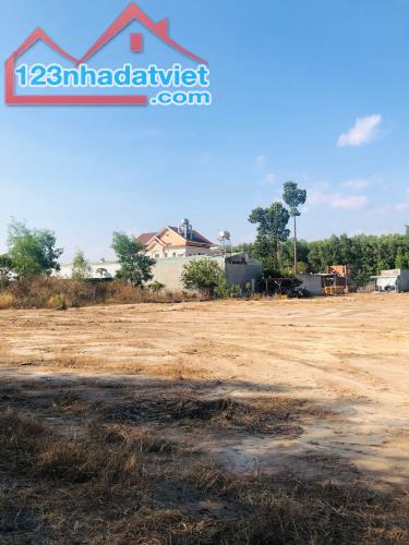 Đất nền giá rẻ 100% thổ cư An Viễn sát chợ gần KCN Giang Điền - Trảng Bom - Đồng Nai - 3