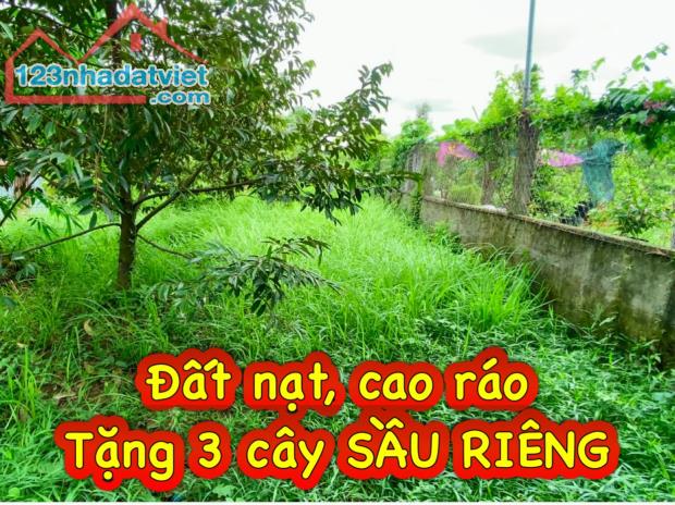 Nền Đẹp 5*21; Cách Chợ Vàm Xáng 350m, Lộ Ô Tô, Nhơn Nghĩa, Phong Điền - 3