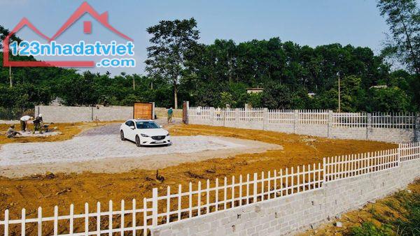 lô đất có diện tích 2800m2 trong đó có 400m2 thổ cư 1575m2 là đất cây lâu năm còn lại là đ - 1