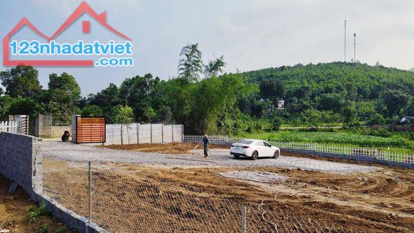 lô đất có diện tích 2800m2 trong đó có 400m2 thổ cư 1575m2 là đất cây lâu năm còn lại là đ - 4