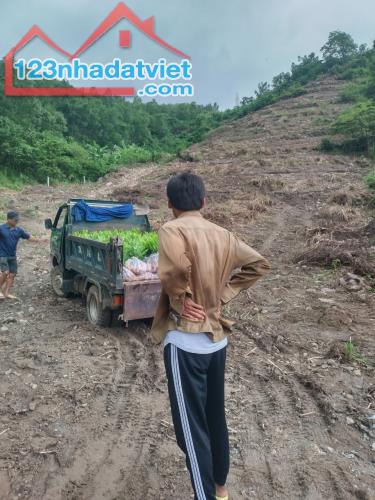 Gia đình cần bán 1,3 hecta đất view đẹp làm nhà vườn, homestay gần chợ trường Diên Tân - 4