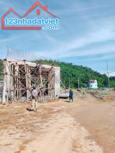 Bán gấp đất Lương Sơn, Hòa Bình 1,9ha, giá 4 tỷ - 1