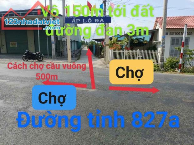 Đất thổ giá rẻ , Long An , Châu Thành 935m2 thổ cư giá 950tr . Đường xe hơi , ô tô . - 3