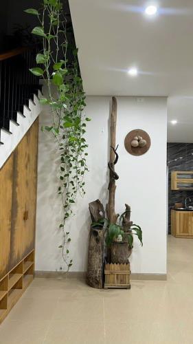 💥💥 Bán căn nhà phong cách Wabi Sabi khu an cựu city nhà mới 126m2 vị trí cao - 3