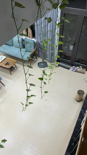 💥💥 Bán căn nhà phong cách Wabi Sabi khu an cựu city nhà mới 126m2 vị trí cao - 4