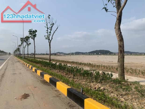 Chuyển nhượng lô 10.000m2  khu Công nghiệp Gia Bình – Bắc Ninh - 1