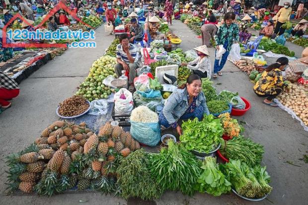 Bán gấp 3007m2 giá 350triệu bao sổ hồng riêng, ngay sát bên chợ và trường trung tâm thị xã - 4