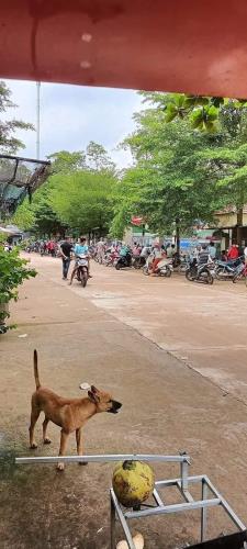 Bán Sỉ12 lô đất, giá 2xx triệu ngay sát thị xã Bình Phước, trường học chợ KCN, đường 8m - 1