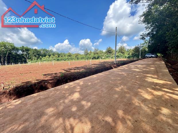 NHÀ BÁN LÔ ĐẤT (30x65=2.000m2)TÁCH 2 SỔ,SHR,330TRIỆU,SÁT DÂN,GẦN CHỢ,TRƯỜNG HỌC