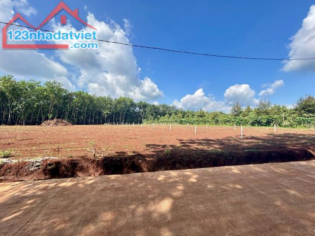NHÀ BÁN LÔ ĐẤT (30x65=2.000m2)TÁCH 2 SỔ,SHR,330TRIỆU,SÁT DÂN,GẦN CHỢ,TRƯỜNG HỌC - 1