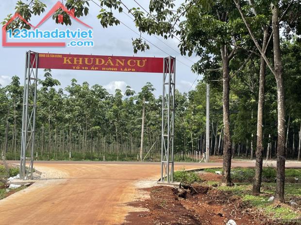 NHÀ BÁN LÔ ĐẤT (30x65=2.000m2)TÁCH 2 SỔ,SHR,330TRIỆU,SÁT DÂN,GẦN CHỢ,TRƯỜNG HỌC - 2
