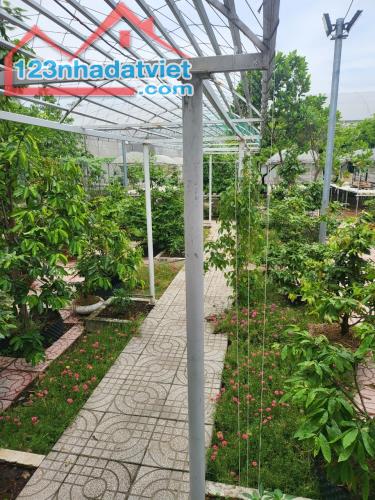 Bán nhà vườn Bình Chánh, đường Vườn Thơm, 1137m2, hẻm xe tải, cực đẹp, giá rẻ - 3