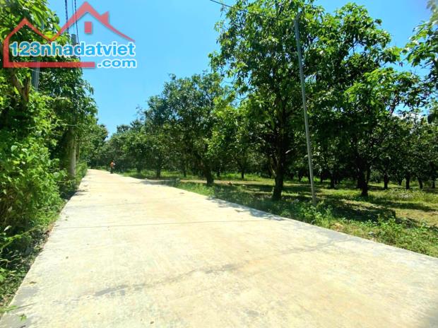 Bán đất ngay trung tâm xã, gần trường học, chợ, khu công nghiệp.. - 1