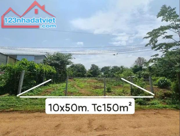 Lô Đường Nhựa 10x50m. Tc150m² - giá 879tr