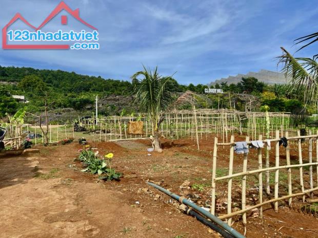 ĐẤT VIEW SĂN MÂY 1000M2 - CÓ THỔ CƯ, SỔ HỒNG RIÊNG - LÂM HÀ, LÂM ĐỒNG (VEN ĐÀ LẠT) - 2